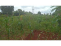 large-plot-for-sale-small-7