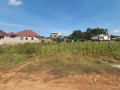kicukiro-niboyi-residential-plot-for-sale-65million-small-2