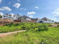 kibagabaga-small-2