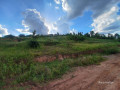plot-ffor-sale-in-mayang-at-agood-place-small-2