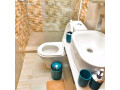 full-furnished-house-for-rent-small-5