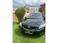 toyota-corolla-small-2