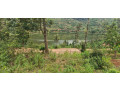hotel-plot-for-sale-in-muhazi-lake-small-2
