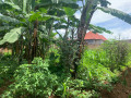 ep-098-masaka-masaka-very-biggest-and-cheapest-plot-for-sale-with-2-upi-small-8