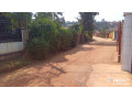 plot-for-sale-small-3