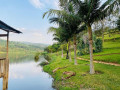 lake-view-land-for-sale-in-gasabo-muhazi-small-6