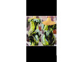 selling-clothes-small-0