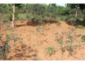 plot-for-sale-in-bugesera-near-airport-hot-deal-view-of-lake-small-0