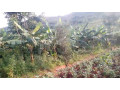 agriculture-for-sale-at-ngoma-kirehe-small-0