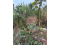 kigali-plot-for-sale-in-norvege-karama-small-4