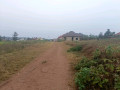 kigali-plots-for-sale-in-bugesera-kanzenze-small-6