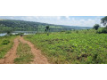 rwamagana-muhazi-plot-for-sale-small-1
