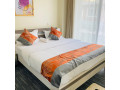 apartment-full-furnished-vip-for-rent-ndera-small-3