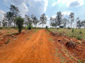 bugesera-residential-plot-for-sale-in-kanzenze-small-3