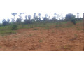 plot-for-sale-in-bugesera-near-airport-hot-deal-small-2