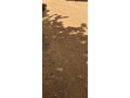 land-for-sale-in-bugesera-nyamata-town-of-rwanda-small-0