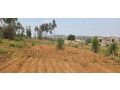 ibibanza-bigurishwa-rusororo-small-1