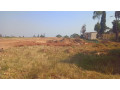 plot-for-sale-in-mt-kigali-small-7