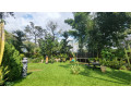 kigali-house-for-rent-in-kiyovu-small-2
