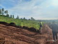 plot-for-sale-in-muyumbu-small-2