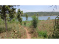 rwamagana-muhazi-land-for-sale-small-0
