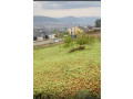 kigali-rwanda-plot-for-sale-in-rebero-small-2