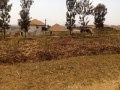 busanza-plot-for-sale-small-9