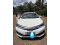 toyota-corolla-small-4