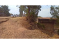plot-for-sale-in-nyamirambo-small-0