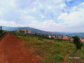 birembo-small-2