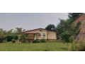 semi-furnished-house-available-for-rent-at-kiyovu-small-1