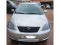 toyota-corolla-small-2