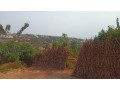 plot-for-sale-in-ndera-on-auctioncyamunara-small-0