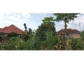 ikibanza-tugurisha-65m-gasogi-cyaruzinge-small-7