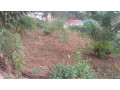kigali-land-for-sale-in-rebero-facing-nyamirambo-side-small-6