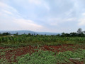 plot-for-sale-in-rugende-at-agood-place-small-1