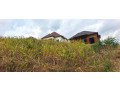 ikibanza-tugurisha-10m-bumbogo-musave-small-7