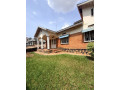 remera-old-house-for-sale-small-3