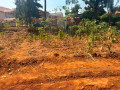 kimironko-plots-for-sale-130m-100m-small-5