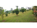 kinyaga-azam-bumbogo-plot-for-sale-small-0