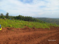plot-for-sale-in-muyumbu-at-agood-place-small-0