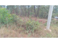 kigali-land-for-sale-in-rebero-small-3