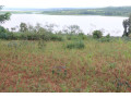 land-for-sale-in-bugesera-gashora-near-airport-of-rwanda-small-2