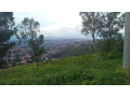 land-for-sale-small-6