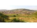 masizi-plo-for-sale-small-0