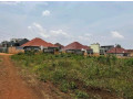 plot-for-sale-in-kicukiro-at-a-good-price-small-1