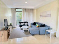 kibagabaga-nice-furnished-apartment-for-rent-in-kigali-small-4