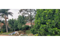 kigali-office-house-available-for-rent-in-kimihurura-small-4