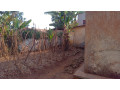 plots-in-nyamirambo-for-sale-small-4