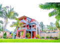kigali-pool-house-available-for-rent-in-rebero-small-3